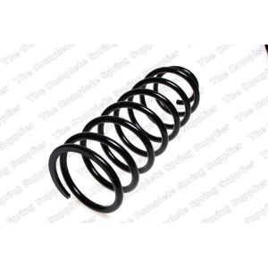 Coil Spring - Rear