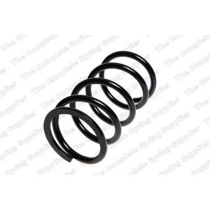 Coil Spring - Rear