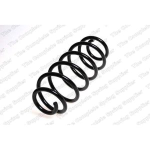 Coil Spring - Rear