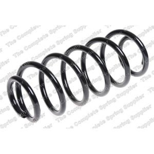 Coil Spring - Rear