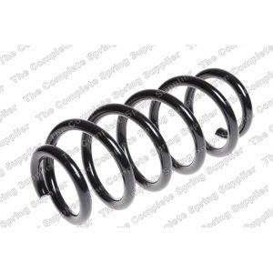 Coil Spring - Rear