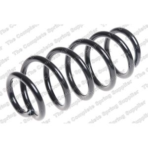 Coil Spring - Rear