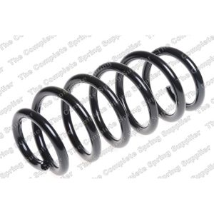 Coil Spring - Rear