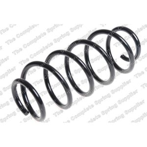 Coil Spring - Rear