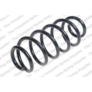 Coil Spring - Rear