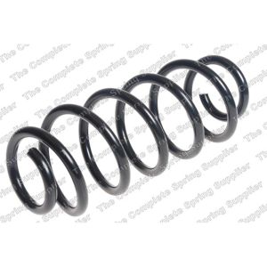 Coil Spring - Rear