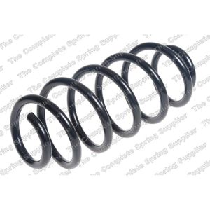 Coil Spring - Rear