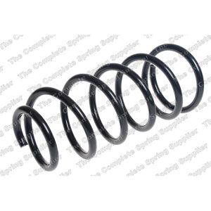 Coil Spring - Rear