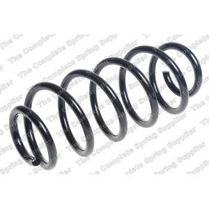 Coil Spring - Rear