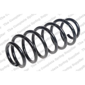 Coil Spring - Rear