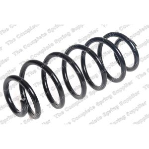 Coil Spring - Rear