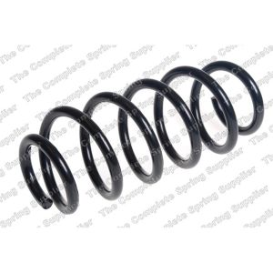 Coil Spring - Rear