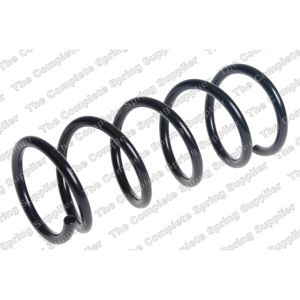 Coil Spring - Rear