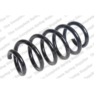 Coil Spring - Rear