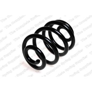 Coil Spring - Rear