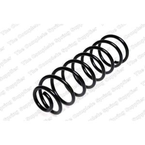 Coil Spring - Rear