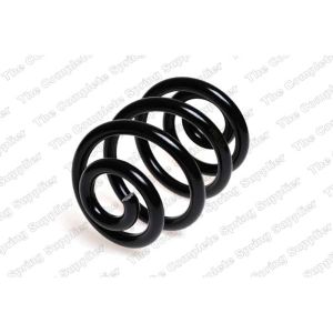 Coil Spring - Rear