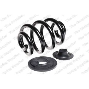 Coil Spring - Rear