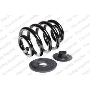 Coil Spring - Rear