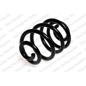 Coil Spring - Rear