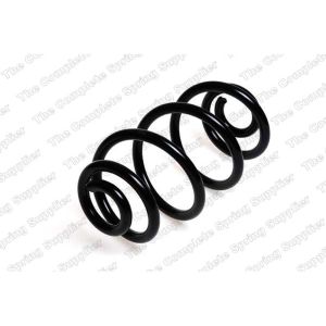 Coil Spring - Rear