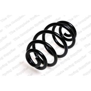 Coil Spring - Rear