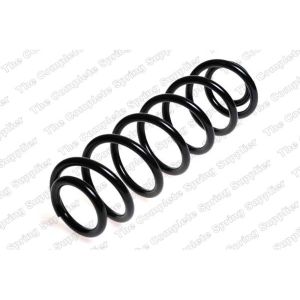 Coil Spring - Rear