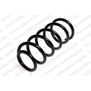 Coil Spring - Rear