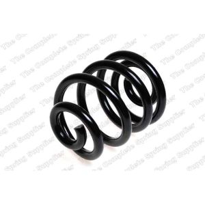 Coil Spring - Rear