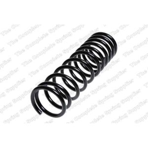 Coil Spring - Rear