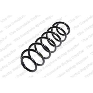 Coil Spring - Rear