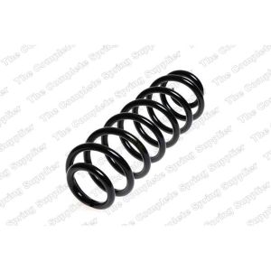 Coil Spring - Rear