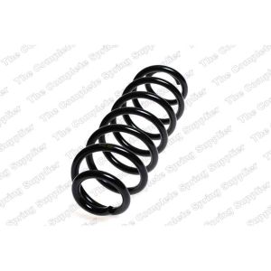 Coil Spring - Rear