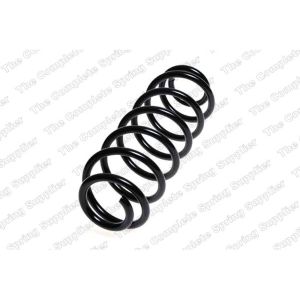 Coil Spring - Rear