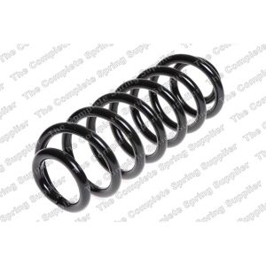 Coil Spring - Rear