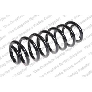 Coil Spring - Rear