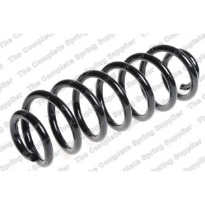 Coil Spring - Rear