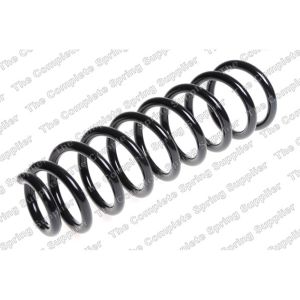 Coil Spring - Rear