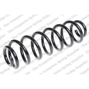 Coil Spring - Rear