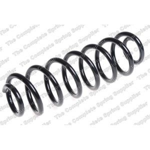 Coil Spring - Rear