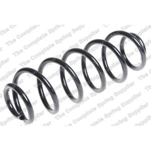 Coil Spring - Rear