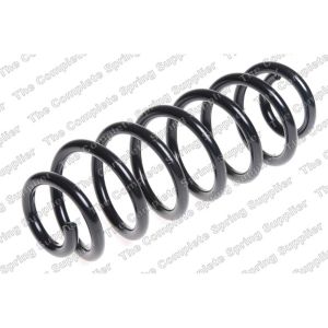 Coil Spring - Rear