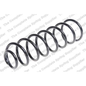 Coil Spring - Rear