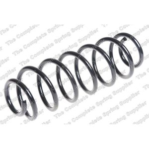 Coil Spring - Rear