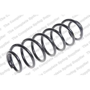 Coil Spring - Rear