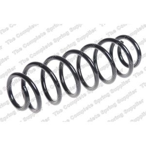 Coil Spring - Rear