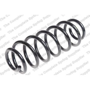 Coil Spring - Rear