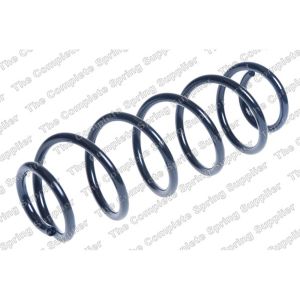 Coil Spring - Rear