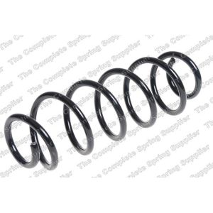 Coil Spring - Rear