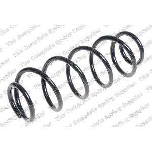 Coil Spring - Rear